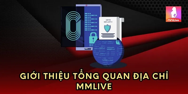 Giới thiệu tổng quan địa chỉ MMlive